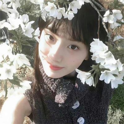 龙的牙医