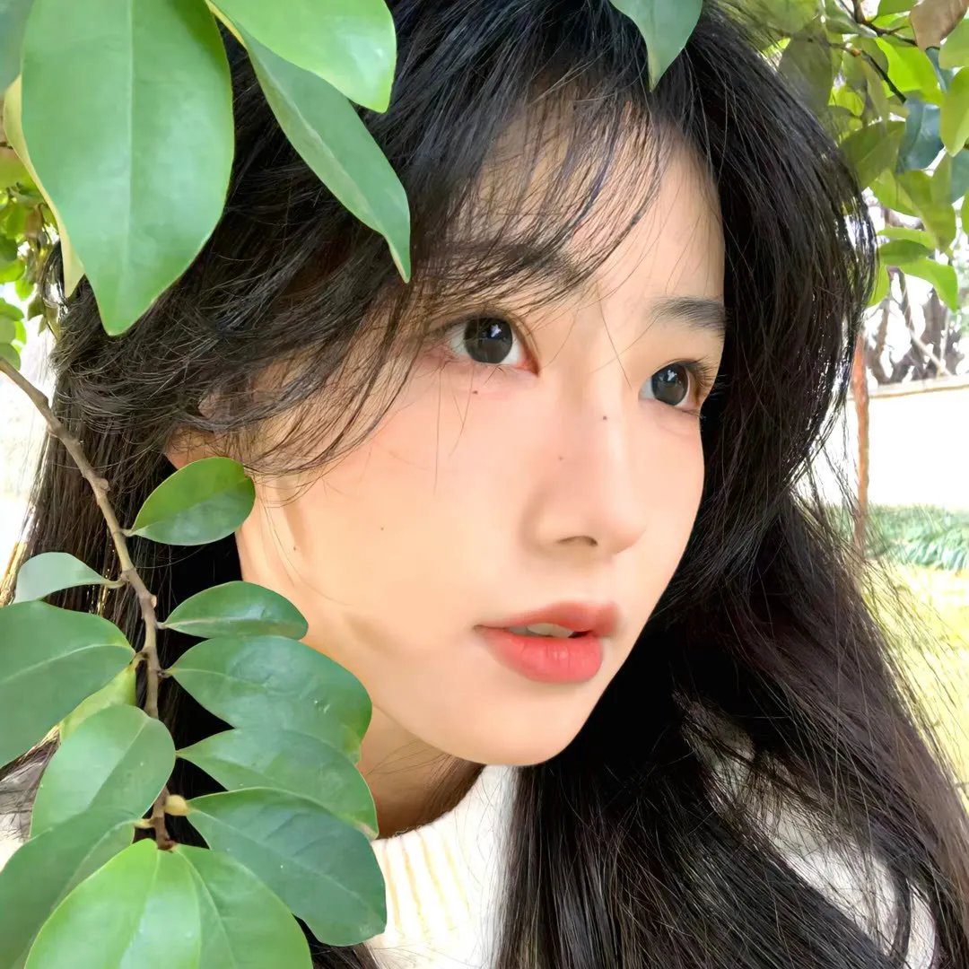 狂野大自然